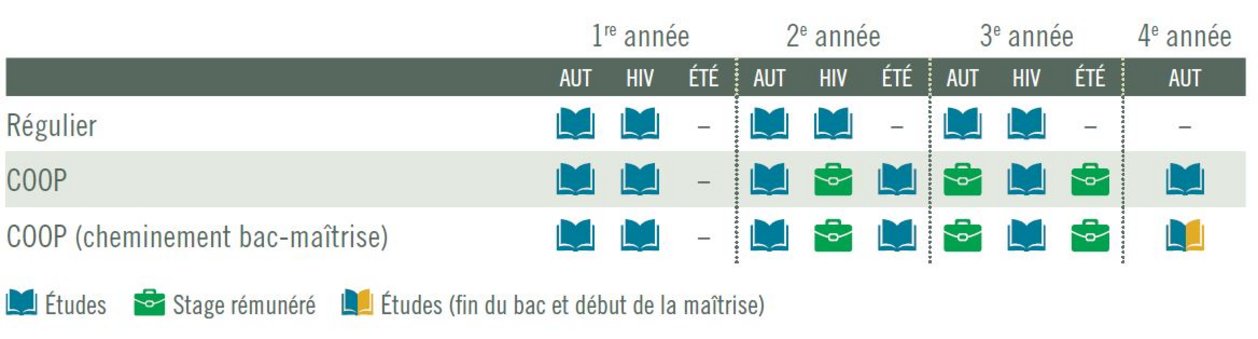 Cheminement incluant la passerelle