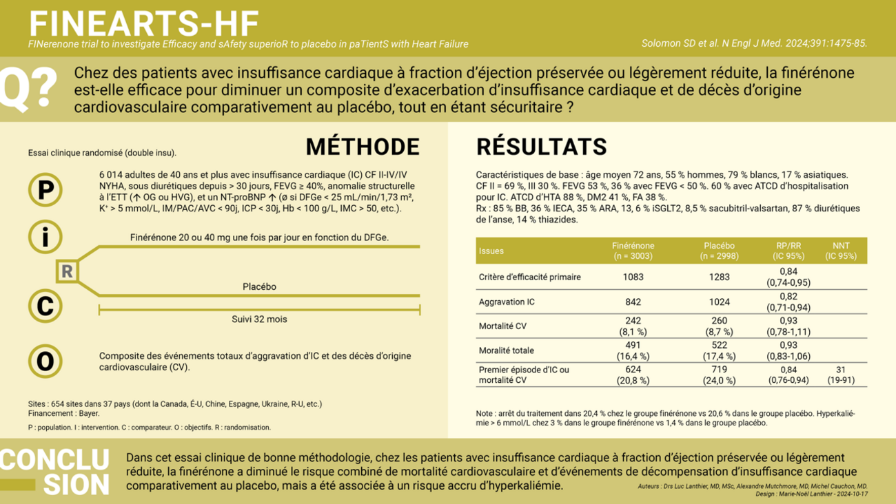 Infographie Finearts-HF