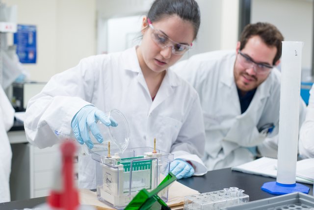 Une étudiante et un étudiant dans un laboratoire de biologie