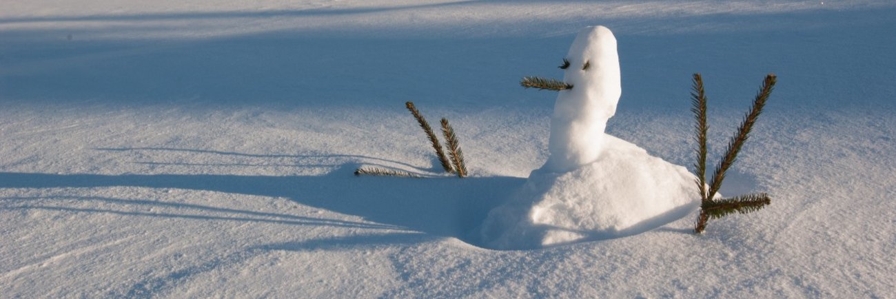 Bonhomme de neige