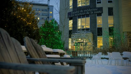 Lumières sur le site de la FMSS