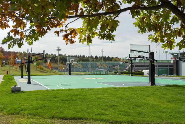 Terrain de basketball extérieur entouré d'herbe et d'arbres