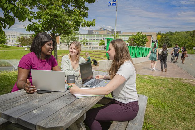 Étudiantes qui travaillent avec leurs ordinateurs portables sur une table à pique-nique