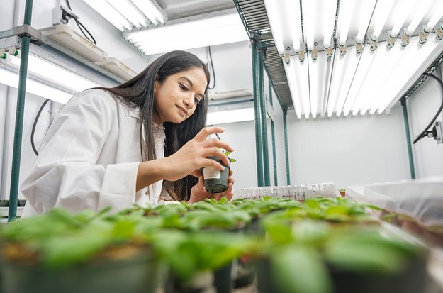 Étudiante travaillant avec de jeunes pousses sous un puissant éclairage au néon.