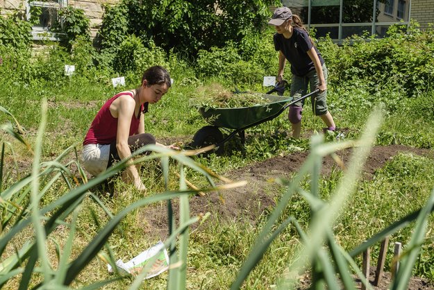 Deux personnes travaillent dans le potager