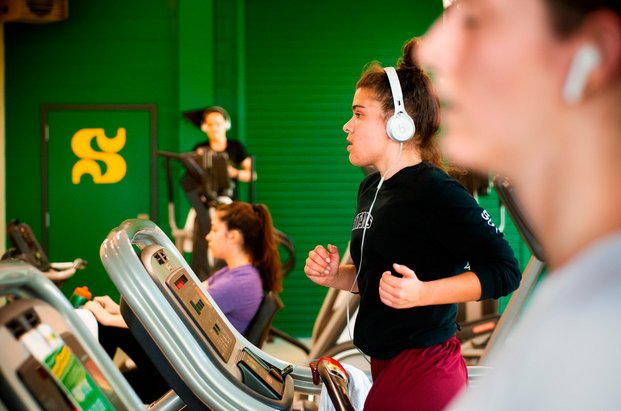 Personnes qui font de la course sur tapis roulant dans une salle d’entraînement aux murs verts.