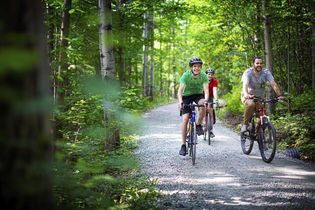 Personnes à vélo dans un sentier entouré de forêt