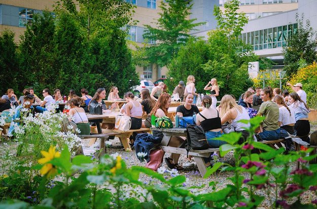 Personnes étudiantes qui dînent à l’extérieur sur des tables de pique-nique. 