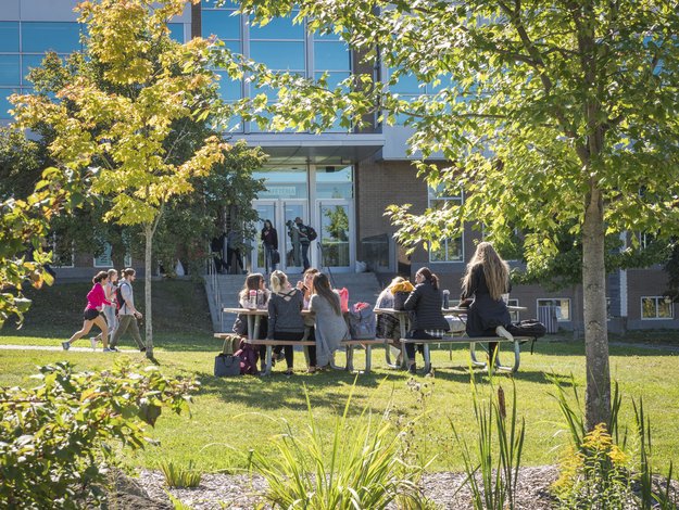 Personnes atroupées à une table à pique-nique sur l'herbe et encadrée par des arbres devant un pavillon