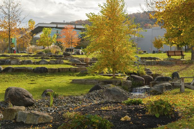 Ruisseau bâti dans pente de verdure avec arbres aux couleurs d'automne