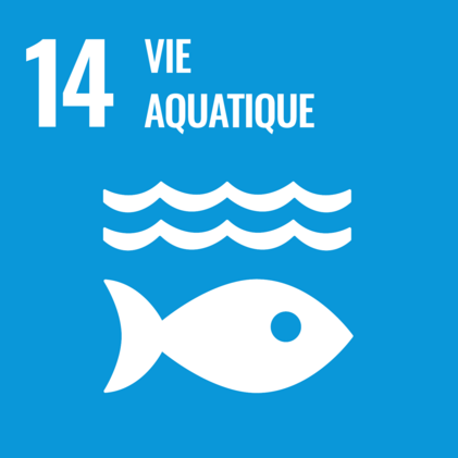 ODD 14 Vie aquatique