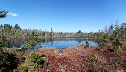 Parc écoforestier de Johnville