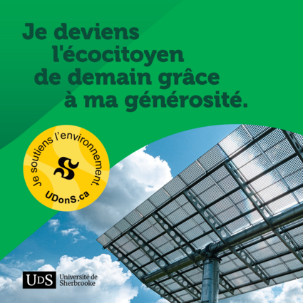 Publication environnement