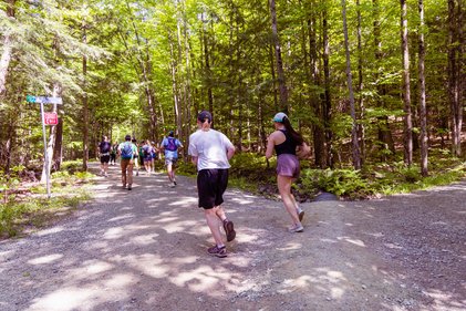Coureurs dans les bois