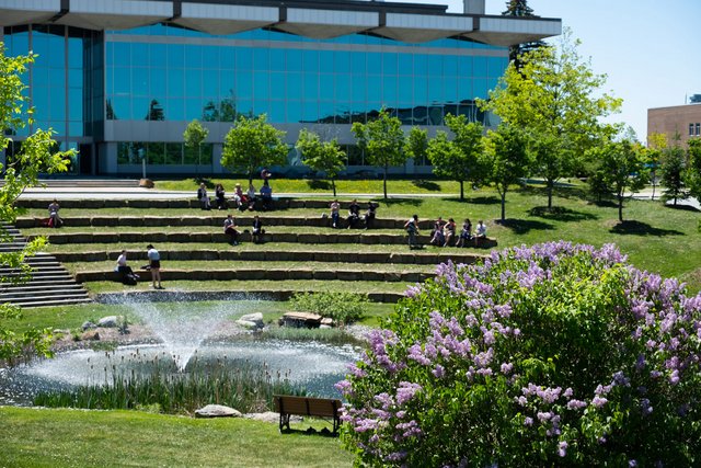 Bassin d'eaux pluviales au Campus principal de l'Université de Shebrooke