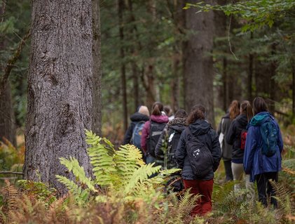 étudiants dans une forêt