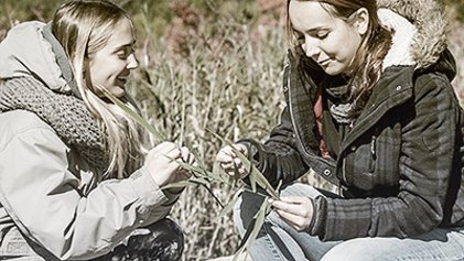 deux personnes étudiantes observent une plante en nature