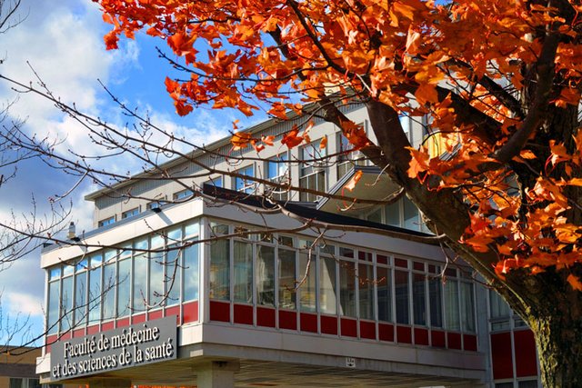 Doctorat en médecine - Site de Sherbrooke