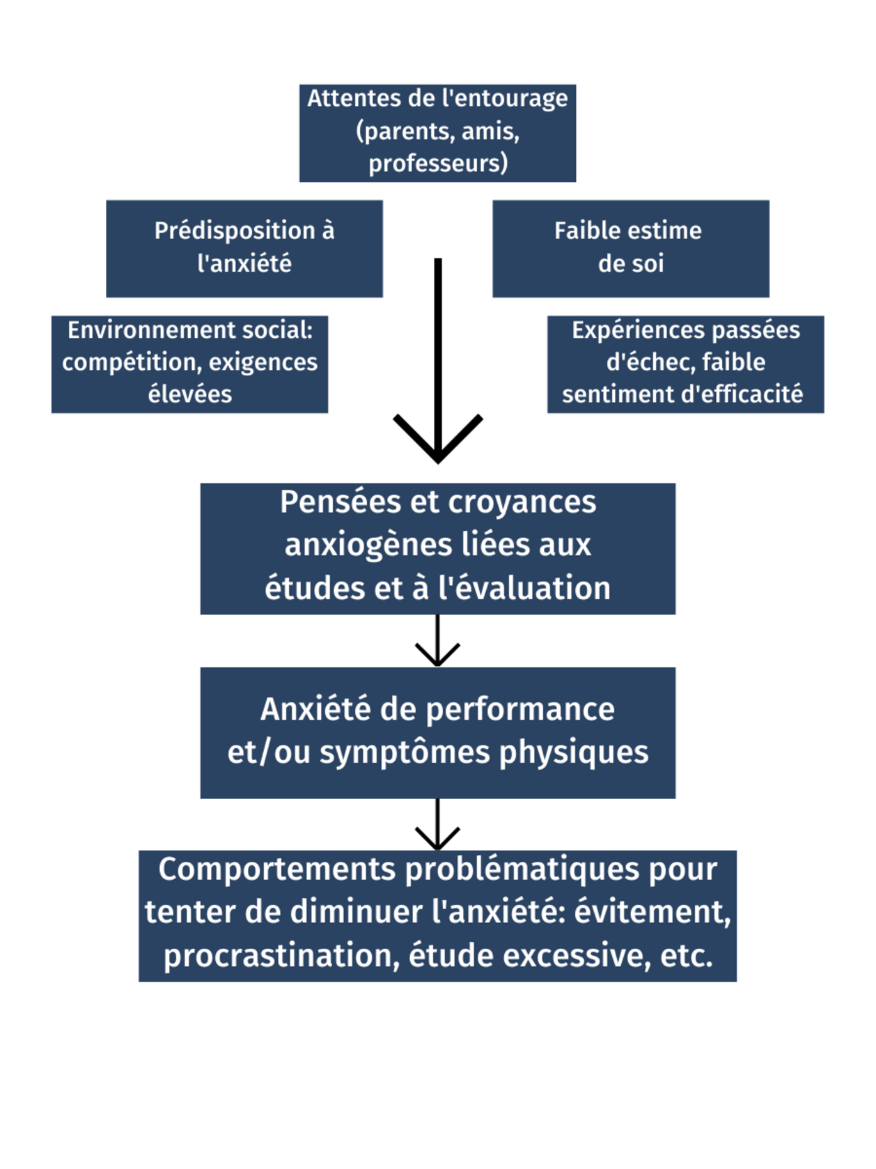 Mécanismes de l'anxiété de performance