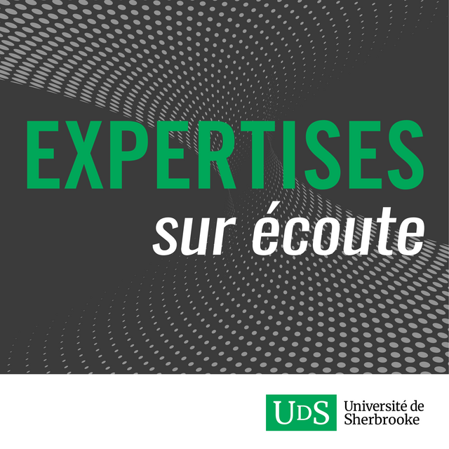 Logo d'Expertises sur écoute