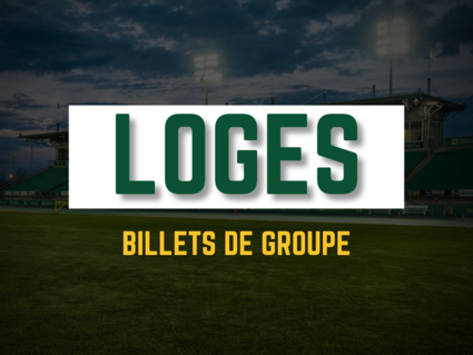 Loges vert et or football