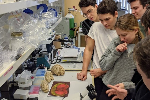 Ateliers scientifiques