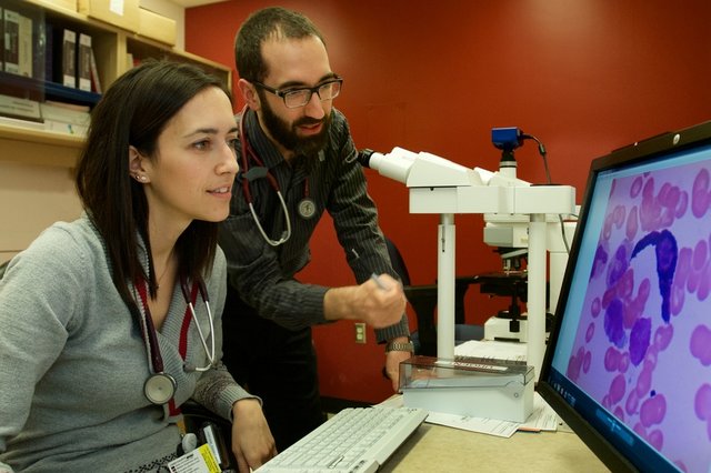 Photo de deux spécialistes qui analyse une image agrandie par un microscope.