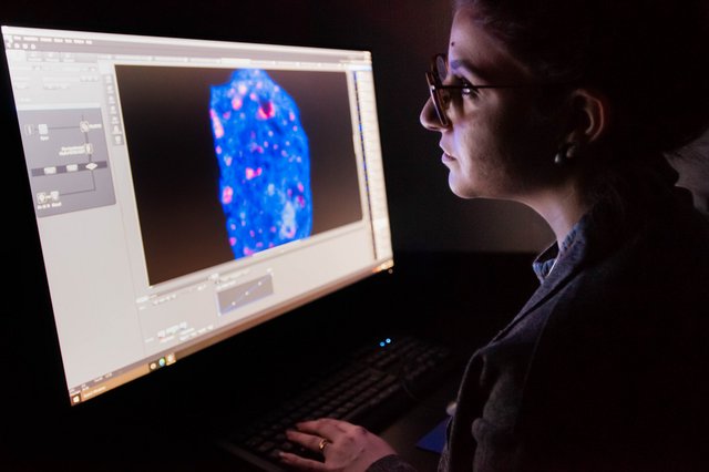 Une personne qui analyse une image à partir d'un microscope.