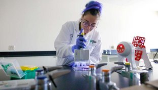 L’UdeS, véritable pionnière de la recherche en ARN