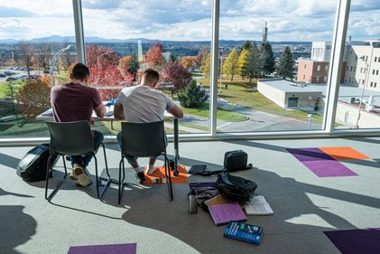 Picture of two students studying