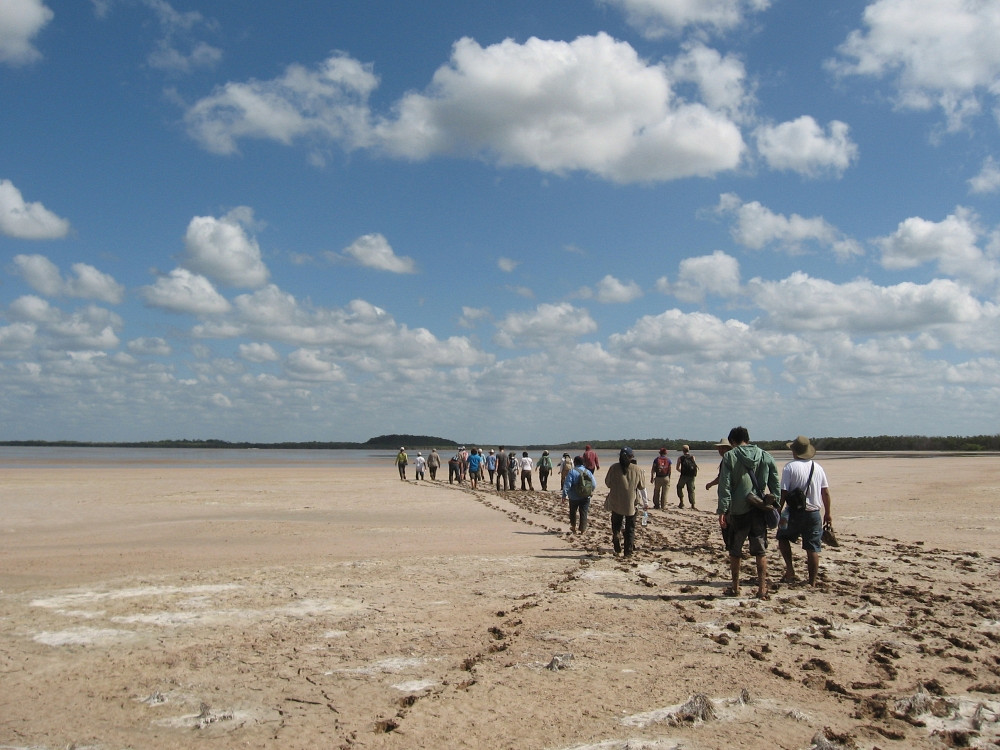 Un groupe d'étudiantes et d'étudiants se déplace sur le terrain au Mexique durant le cours Les grands écosystèmes du monde III.