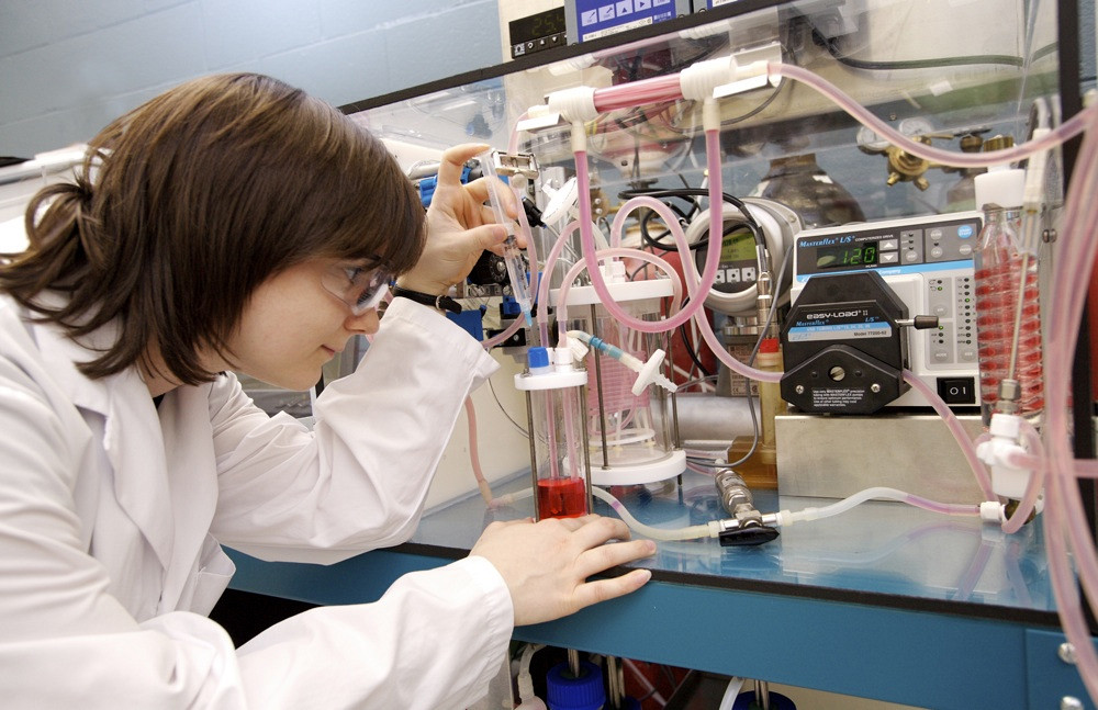 Avec des bourses mensuelles de 1000 $, le nouveau concours des Fonds de recherche du Québec vise à reconnaître l'excellence de la recherche réalisée par les étudiantes et étudiants.