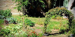 Le Jardin Collectif de l'UdeS ou une saine récolte en plein coeur du campus