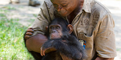 Construire des infrastructures pour protéger les grands singes en Afrique