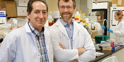 Une nouvelle classe d’antibiotiques découverte à l’Université de Sherbrooke