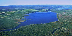 Lac Louise : un plan d'action pour réduire la prolifération des algues et plantes aquatiques