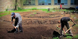 Jardiner ensemble au Campus principal