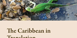 <em>Caribbean in Translation – Remapping Thresholds of Dislocation </em>de Laëtitia Saint-Loubert