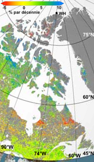 Figure 1. Évolution de l’indice spectral normalisé de végétation (NDVI) sur le transect étudié au Nord-Est du Canada (en pourcentage par décennie) dérivée des images satellites.