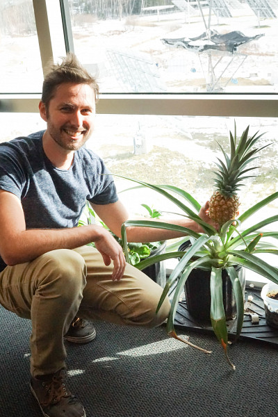 Philippe-Olivier Provost et le plant d'ananas qu'il entretient à son bureau!