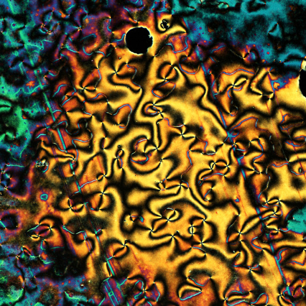 Solide ou liquide, par Étienne Levert. Largeur de l’image : 150 micromètres.