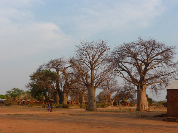 Village de Golomoti.