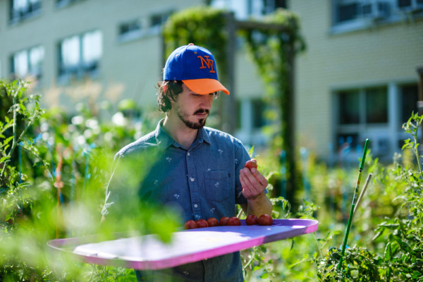 Depuis 2009, le jardin collectif est ouvert à toute la communauté universitaire désireuse d'y travailler. 