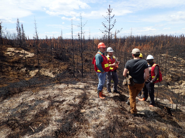Les ingénieurs forestiers se rencontrent pour faire état des impacts du feu, juin 2017