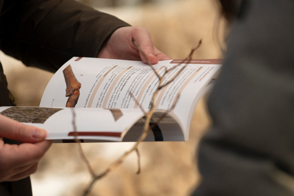 De nombreux projets de recherche sont menés dans le parc du Mont-Bellevue.