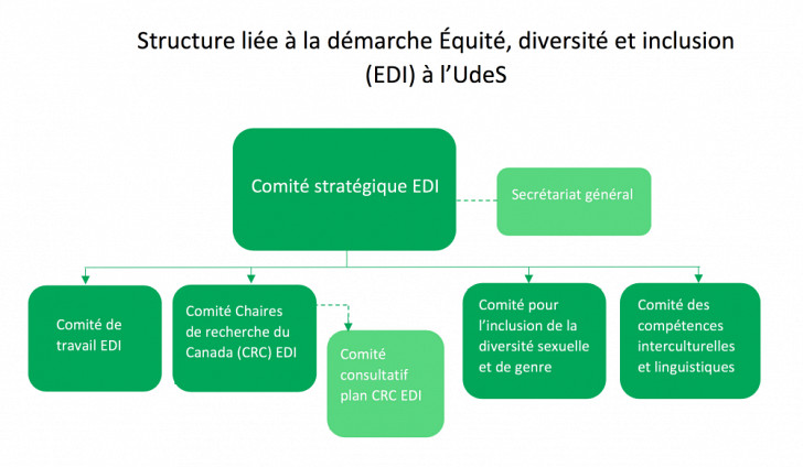 Un Milieu Inclusif Qui Cultive L Excellence Service Des Ressources Financieres Universite De Sherbrooke